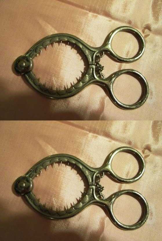 How to Use This Unusual Tool in Your Kitchen