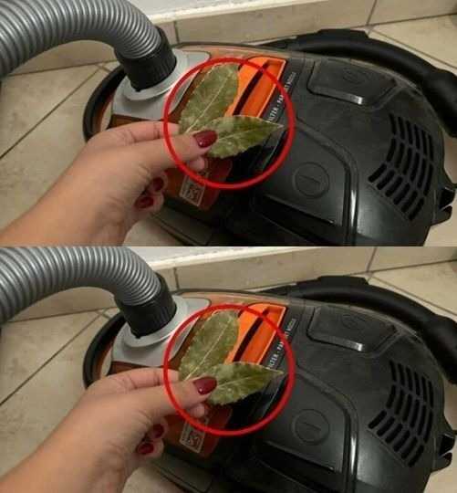 As a panacea that our great-grandmothers used, place a bay leaf in the vacuum sealer.