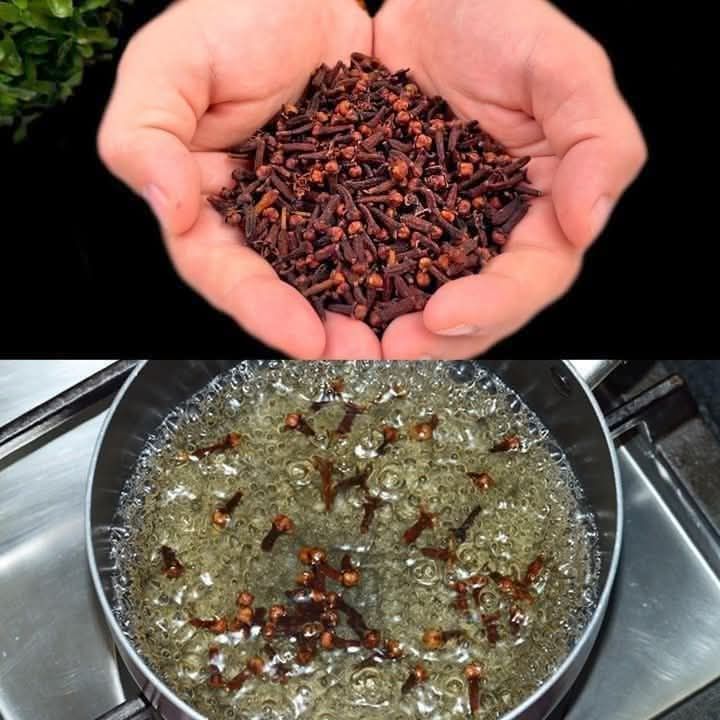 with Amazing Benefits to Improve Your Health