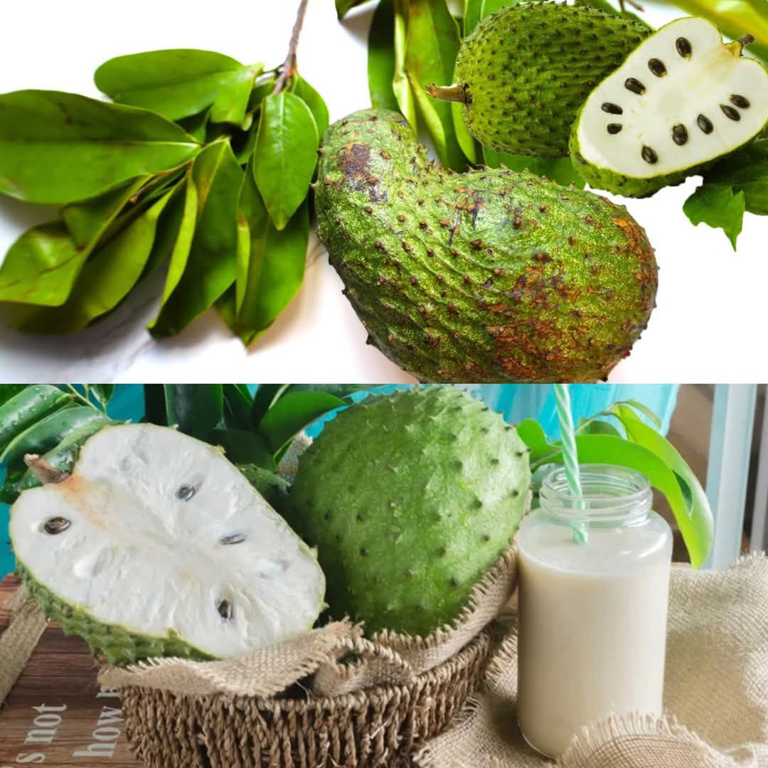 Refreshing Soursop Juice: A Tropical Drink Packed with Benefits