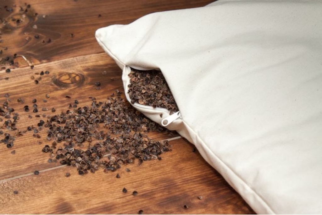 What Are These Weird Seeds in Your Bed? The Answer Will Surprise You!