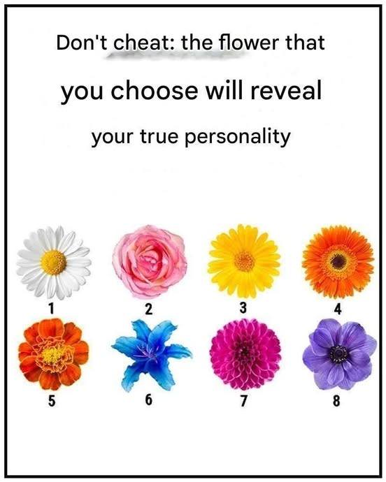No talk. The flower you choose will reveal your true character trait.