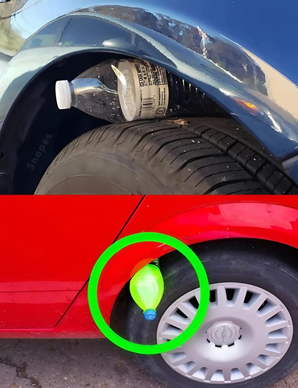 Attention, if you notice a plastic bottle on one of your car’s tires, be vigilant