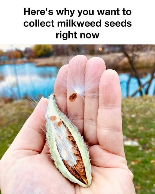 Whoa..didn’t know about this