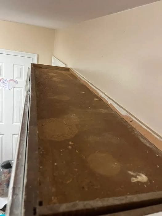 Natural Ways to Eliminate Grease and Odors from Kitchen Cabinets