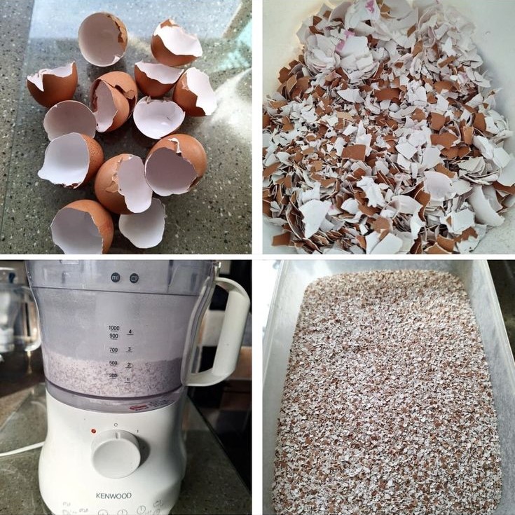 15 Cunning Garden Hacks Every Gardener Should Know