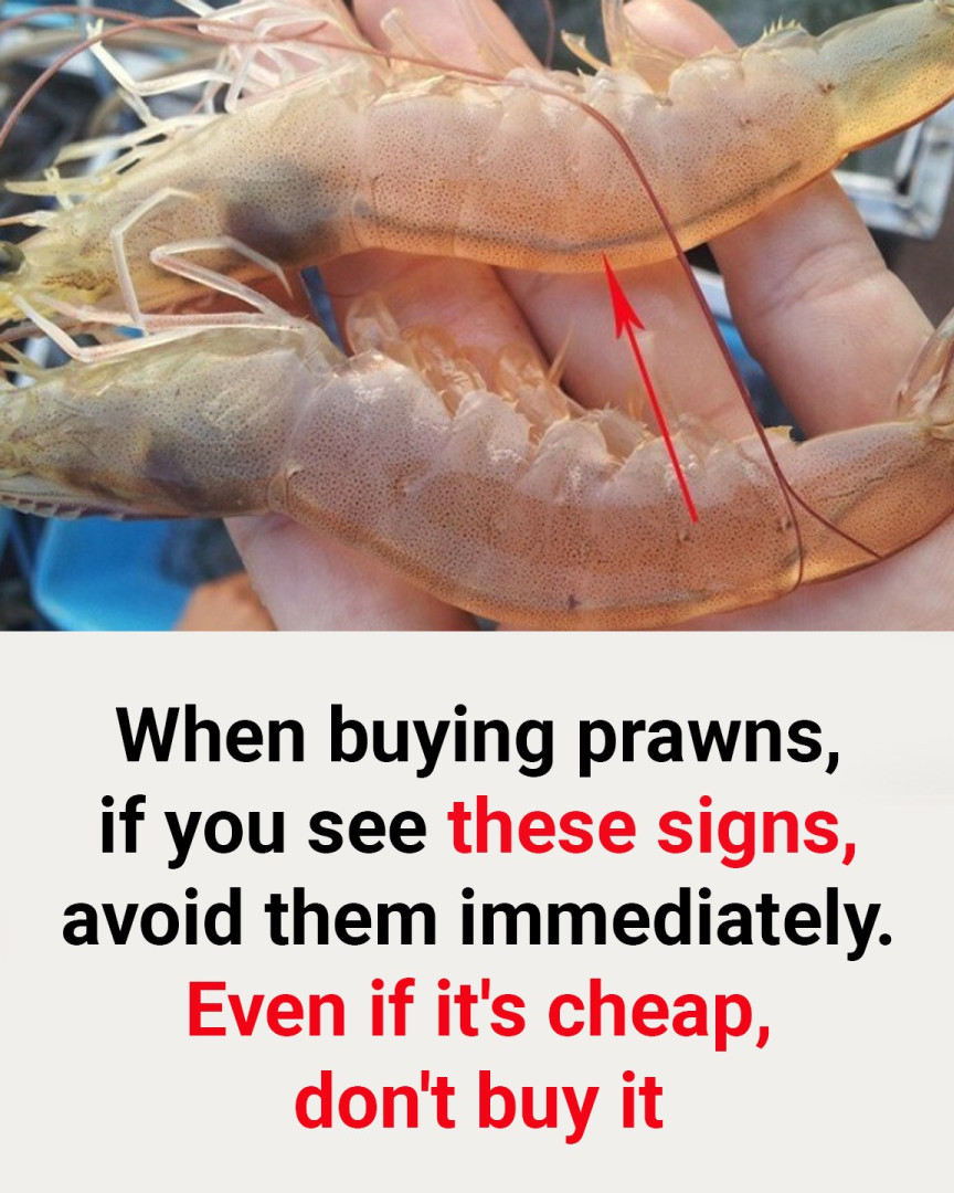 When buying prawns, if you see these signs, avoid them immediately. Even if it’s cheap, don’t buy it!