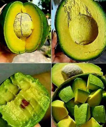 Doctors reveal that eating avocado can cause ….