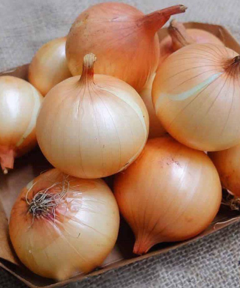 Doctors reveal that eating onion causes…