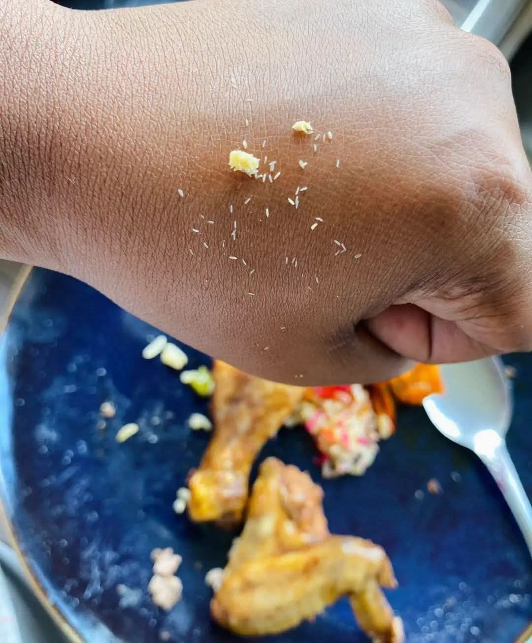 I understand why you’re worried 😟 — based on the photo, do NOT continue eating this food.  What are those white things? They strongly look like insect larvae (maggots), most likely fly larvae.  Here’s why:  They are small, white, rice-shaped  Many are uniform in size  They are not part of the food (rice grains wouldn’t appear like this on cooked chicken skin)  Cooked food left even one day can attract flies if it wasn’t properly covered and refrigerated  continued on next pag