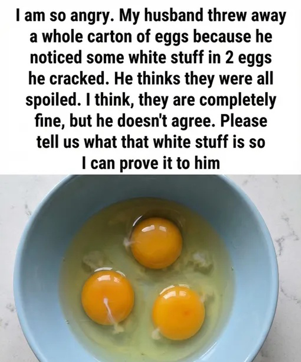 What Is the White Strand in Eggs? A Simple Explanation