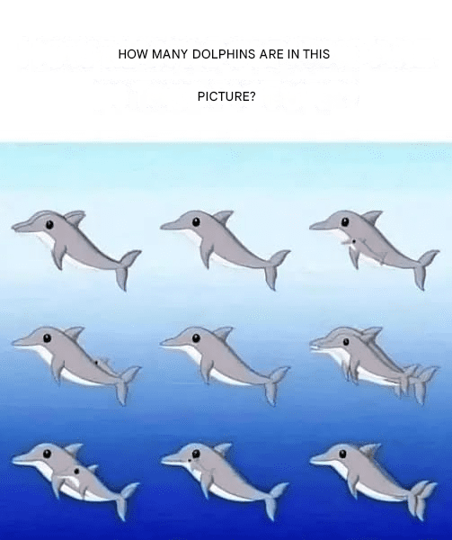 How many dolphins can you spot in the picture?