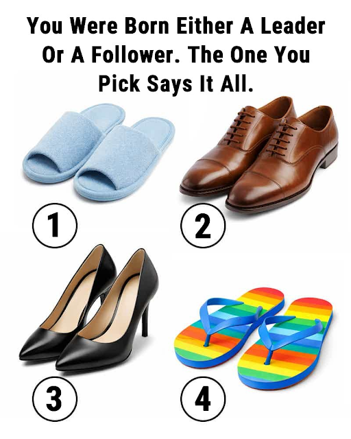 You Were Born Either A Leader Or A Follower. The One You Pick Says It All.