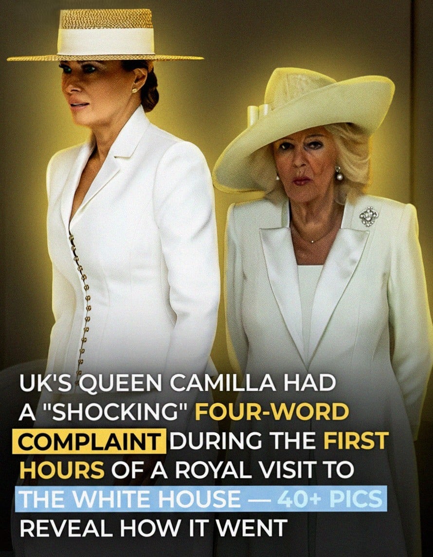 Melania Trump Turns Heads in White at State Dinner as Other Notable Moments Spark Buzz — Photos