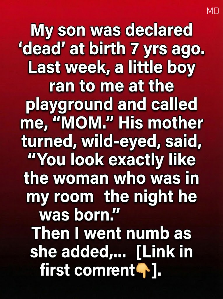 A Chance Meeting at the Playground Led to Questions About My Past and a Story I Never Expected